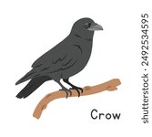 Black crow perched on tree branch vector illustration, cartoon clipart character, animal in flat style. Wild animals, avian, birds concept. Crow vector design isolated on white background