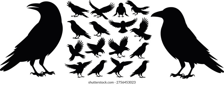Black crow and raven silhouettes set, flying perched corvid birds vector illustration, wildlife clipart collection isolated on white background for graphic design