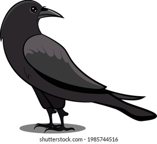 Black Crow with Shadow. Black Bird. Birds from Different parts of World. Common Birds. Bird Icon Vector Illustrations Isolated Doodle on White Background. Colorful Birds Set