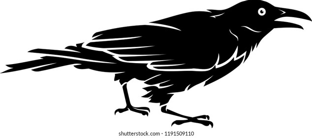 Black Crow Side View