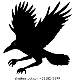 A black crow in silhouette