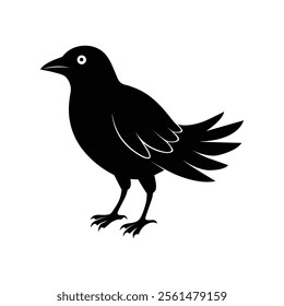 Black crow silhouette isolated on white