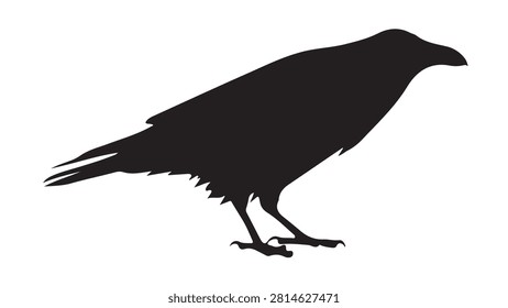 A black crow silhouette perched on a branch with a bright sky background, capturing natural bird behavior and wildlife essence.