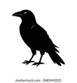 Black crow silhouette vector illustration