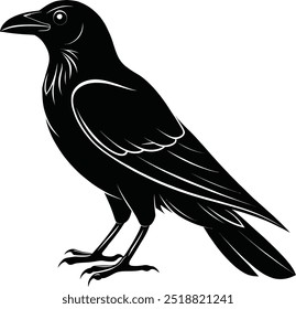 Uma silhueta Black Crow Ilustração vetorial