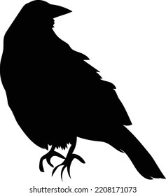 black crow silhouette vector logo