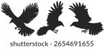 Black crow silhouette vector set