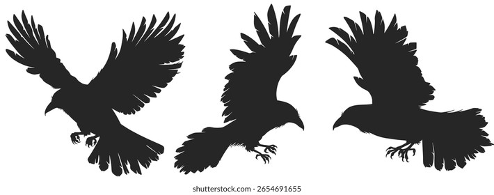 Black crow silhouette vector set
