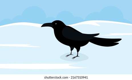 Black crow stands in the snow