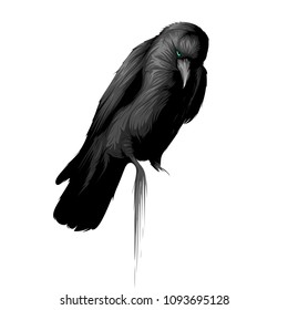 black crow vector art with green eyes isolated on white background