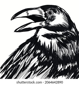 Black crow vector drawing line