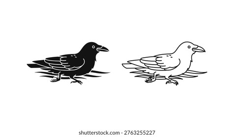 Black Crow vs Gray Pigeon Key Bird ID Features Vector
