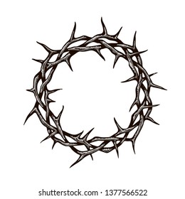 black crown of thorns image isolated on white background 