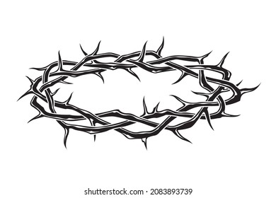 black crown of thorns image isolated on white background