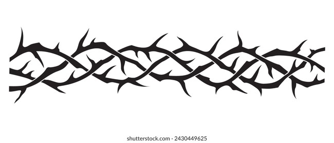 black crown of thorns image isolated on white background