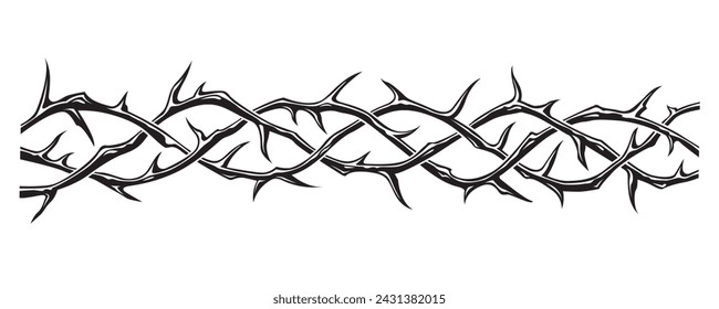 black crown of thorns image isolated on white background