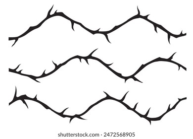 black crown of thorns image isolated on white background