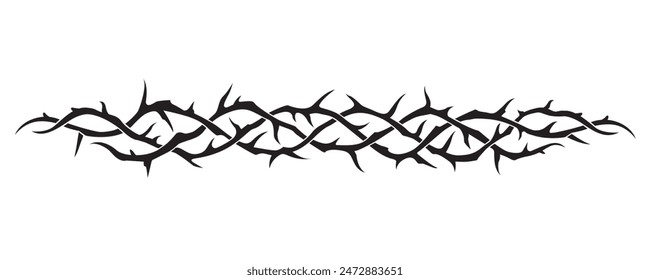 black crown of thorns image isolated on white background