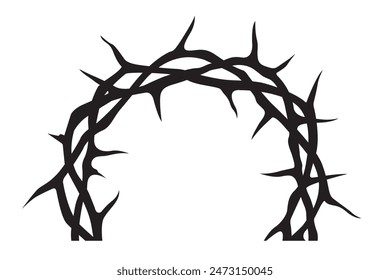 black crown of thorns image isolated on white background