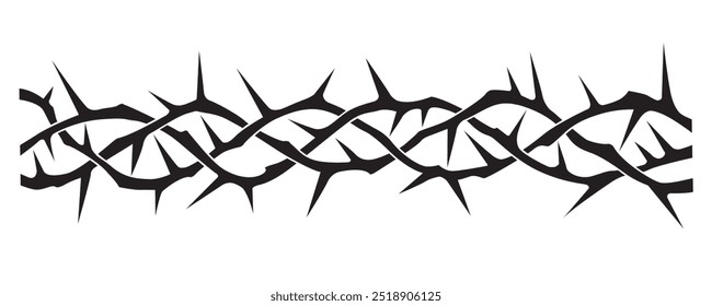 black crown of thorns image isolated on white background