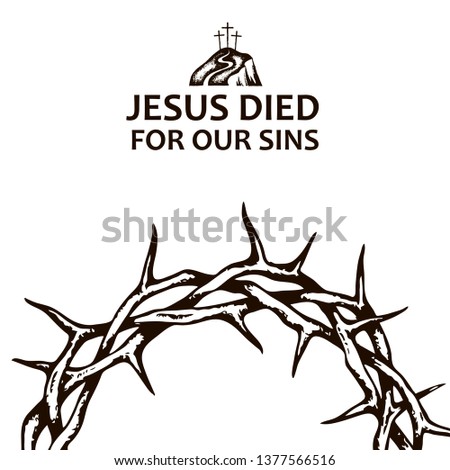 black crown of thorns image isolated on white background 