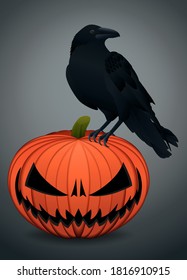 Black crow,Raven perching on a pumpkin.