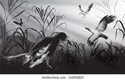 Black crows in the grass (vector illustration)