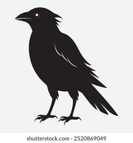 black crows. Silhouette of a crow. Vector illustration of ravens silhouette. Grunge bird tattoo.