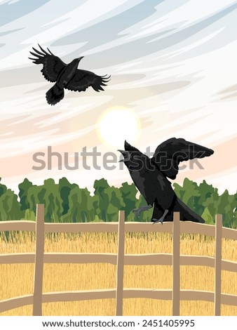 Black crows are sitting on a fence near a field with ripe wheat. Wild crow Corvus corax. Realistic vector vertical landscape