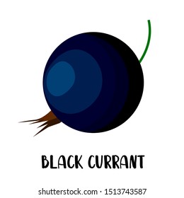 Black currant against white background. one berry.