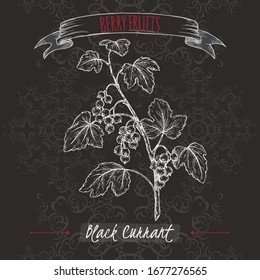 Black currant aka Ribes nigrum branch sketch on black background. Berry fruits series. Great for traditional medicine, perfume design, cooking or gardening.