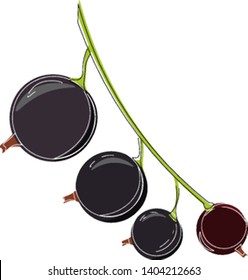 Curva negra unida al tallo verde, vector, dibujo de color o ilustración. 