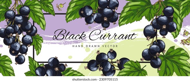 Black currant berries banner or food label design, sketch hand drawn vector illustration. Background with currant for food, bakery and drinks packaging design.