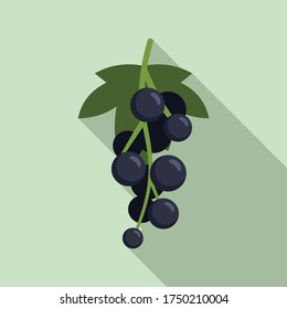 Icono de bayas de curry negro. Ilustración plana del icono vectorial de bayas negras para el diseño web