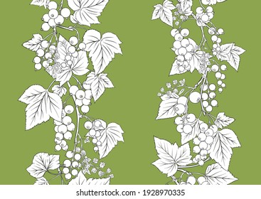 Black currant berries. Seamless pattern, background. Vector illustration. In botanical style on green background