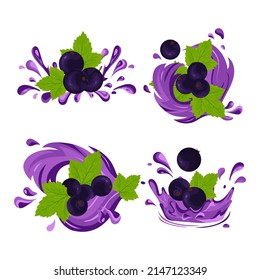Bayas de curry negro. Brotes de jugo. Buceando, gotas. Un vector de color establecido en un fondo blanco.