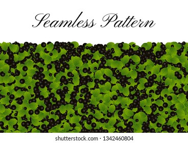 Black currant berries vector seamless pattern with blank (clear) space for text. Healthy summer background of blueberry, black currant with green leaves