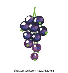 Black currant berry flat icon with inscription colorful vector illustration of eco food isolated on white.