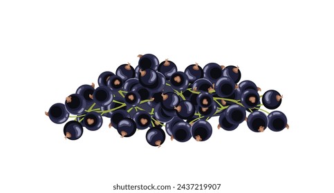 Black currant berry heap isolated on white background. Vector cartoon flat illustration.