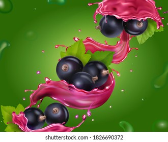 Black currant, currant berry in juice splash on green background realistic vector illustration.