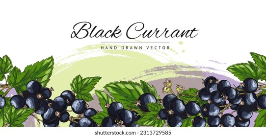 Black currant berry seamless border, hand drawn sketch vector illustration on white background. Banner with drawing of delicious berry fruit. Concepts of nature and food.