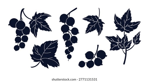Black Currant Elements with White Veins. Botanical Set of Detailed Berry Branches and Leaves. Isolated hand-drawn. Vector Illustration