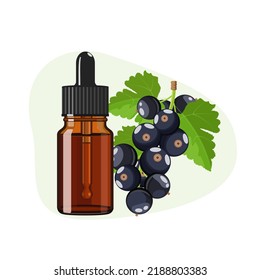 Black currant essential oil in brown glass bottle, herbal alternative medicine treatment product, vector Illustration on white background