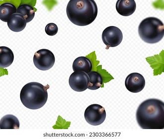 Black currant falling background. Flying black currant realistic with green leaf on transparent background. Blurred effect 3D vector.