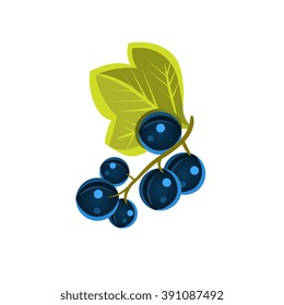 Black Currant  Flat Vector Sticker Simplified Design Isolated On White Backgroung