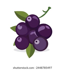 Black currant fruit flat icon vector illustration on white background