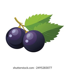 Black Currant fruit flat vector illustration on white background.