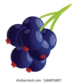 Black currant icon. Cartoon of black currant vector icon for web design isolated on white background