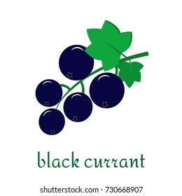 Black currant icon in flat style. Isolated object, logo. Fruit and berries from the farm. Organic food. Vector illustration.