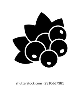 black currant icon vector design template in white background